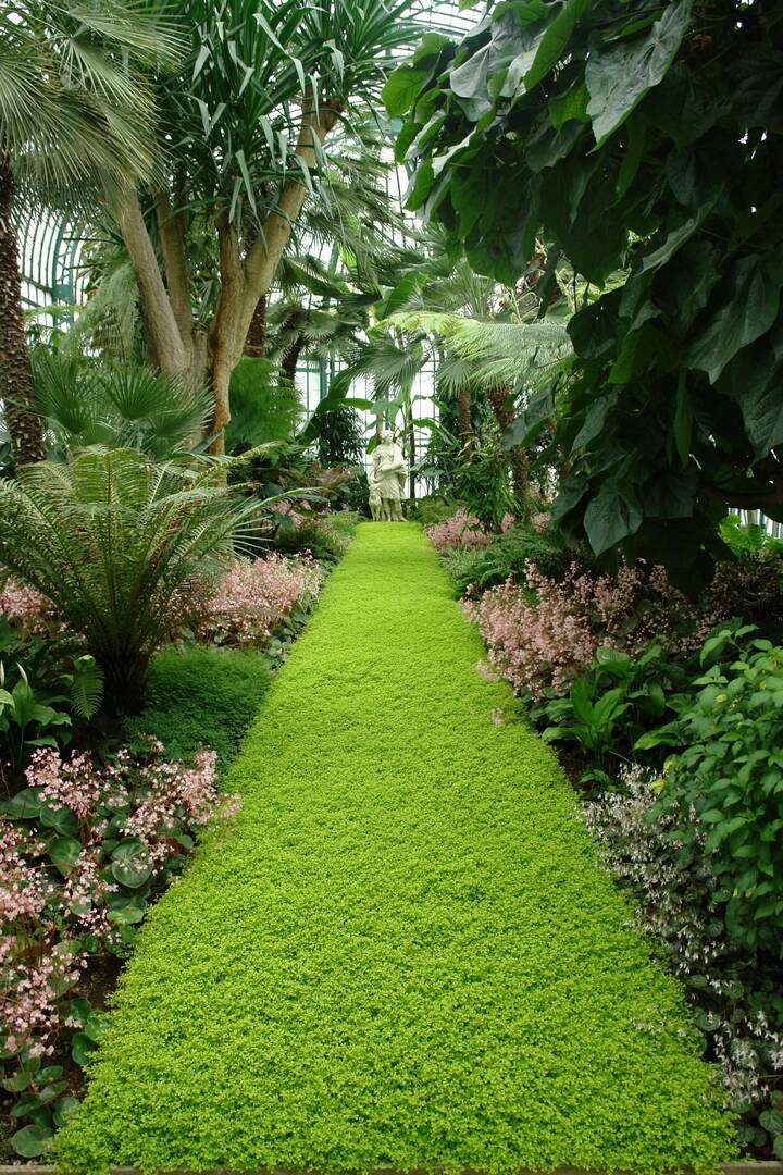 Simes Landscape