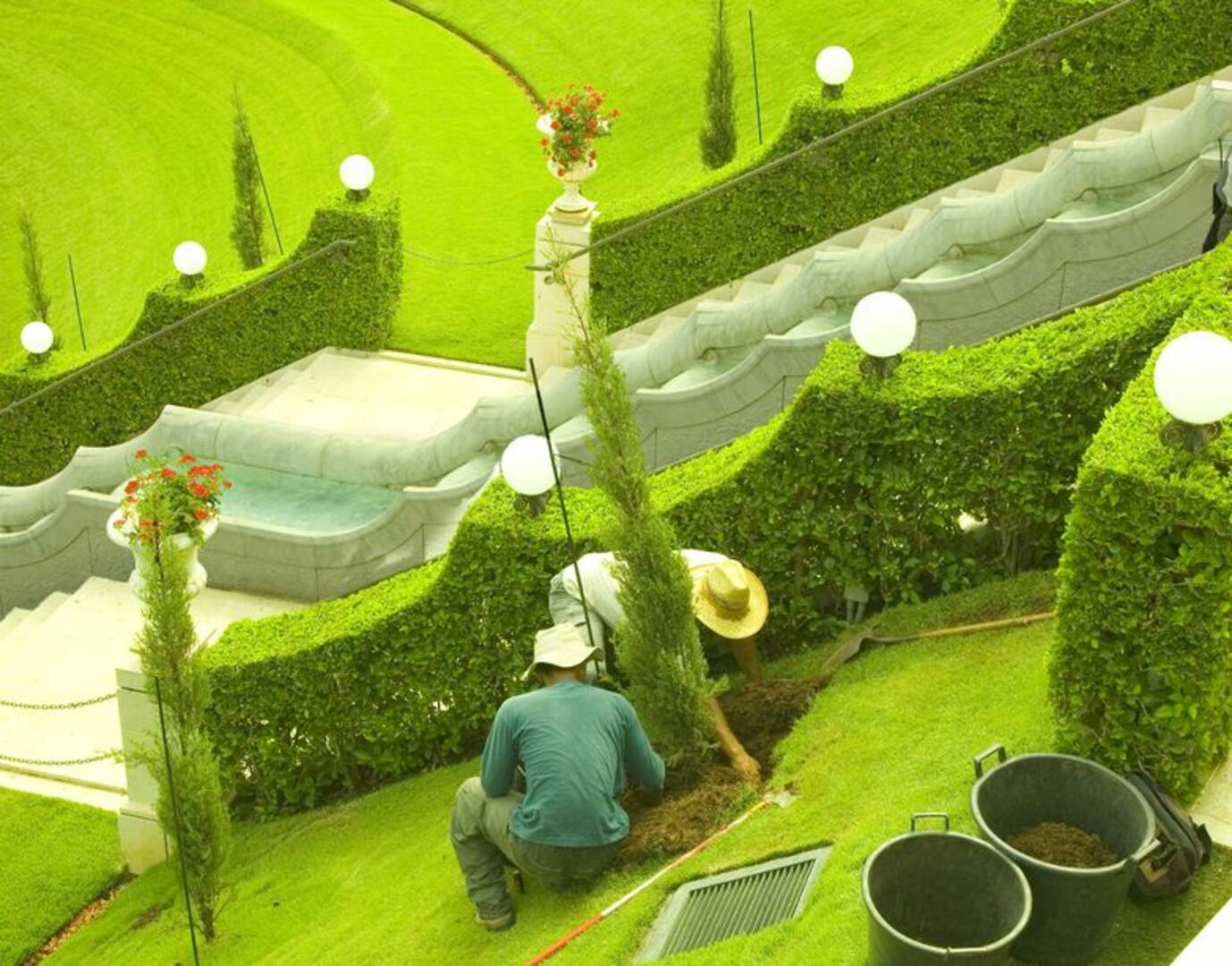 County Tree Service