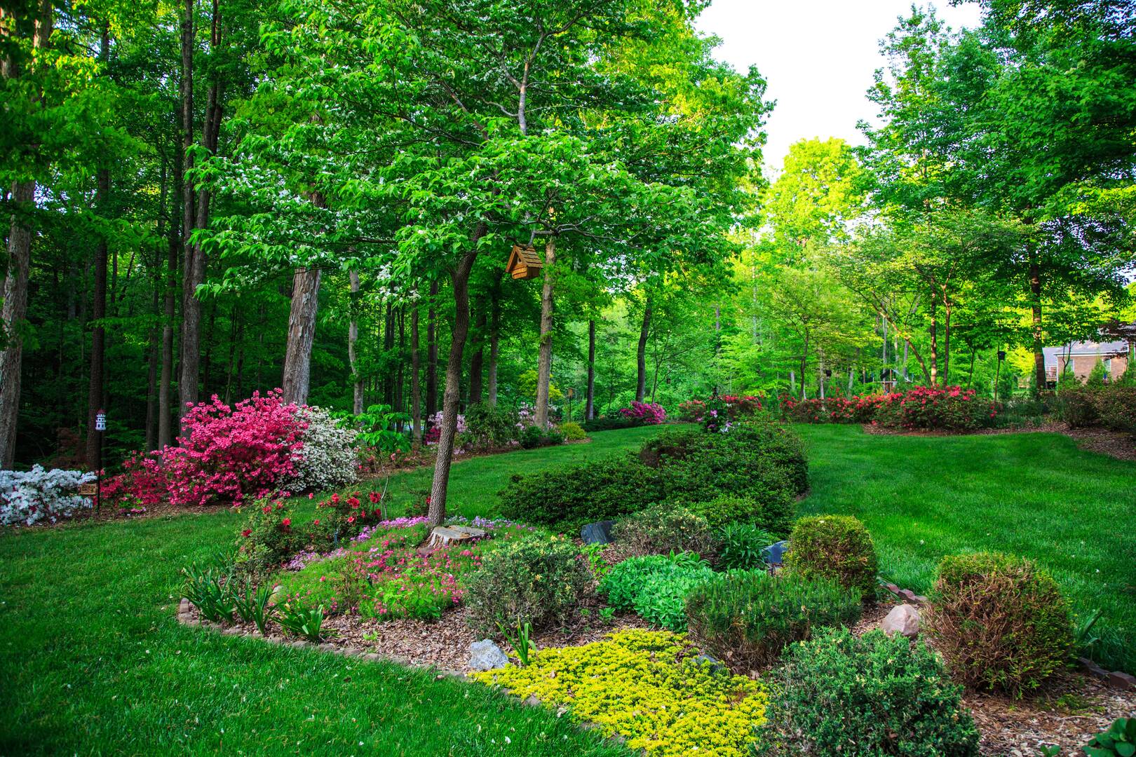 Bay City Tree Services