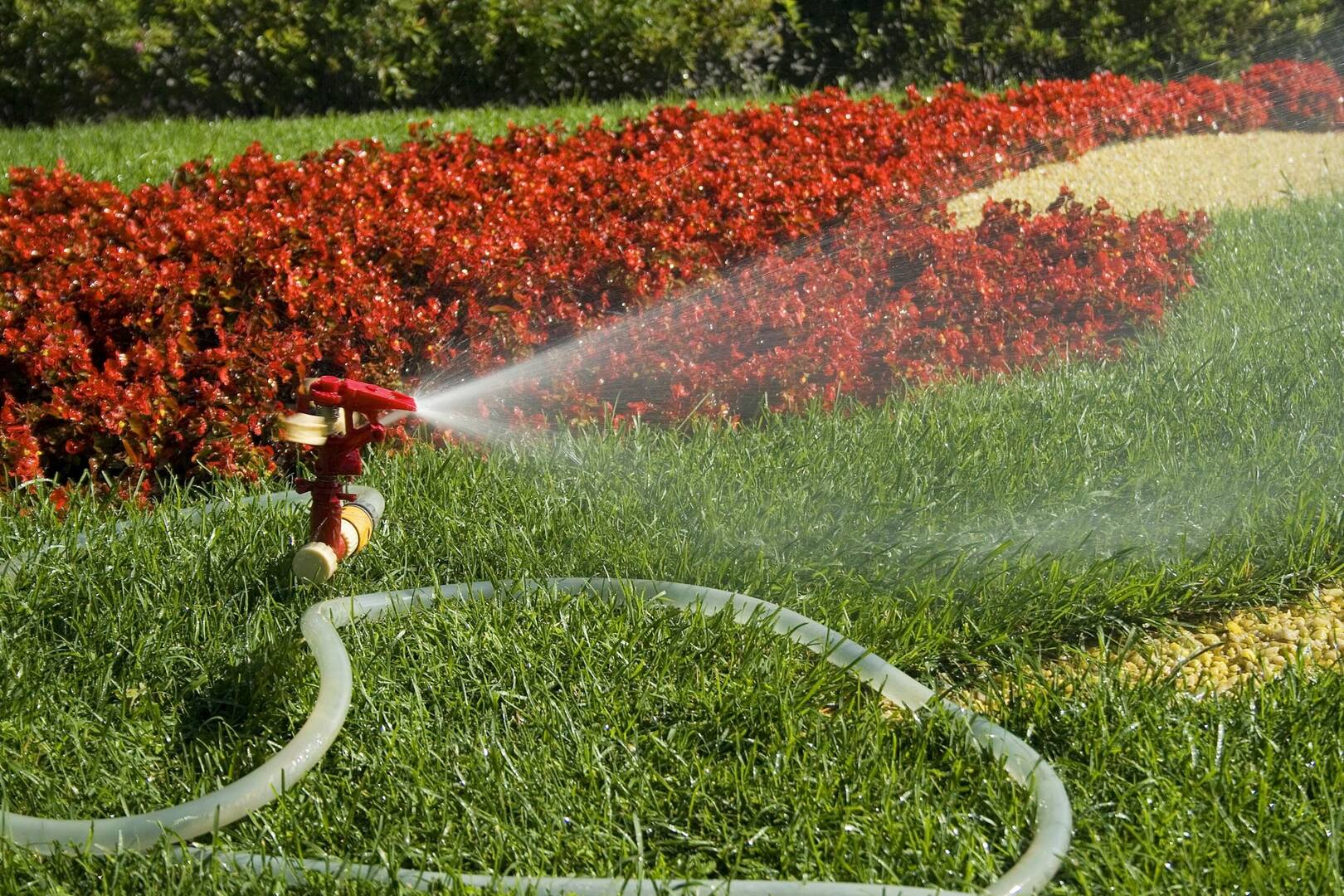 Mariposa Landscape & Tree Service Inc.